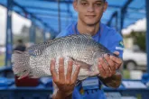Feira do Peixe Vivo