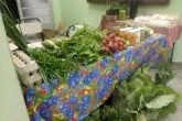 Feira na Unespar, 26 de setembro de 2019