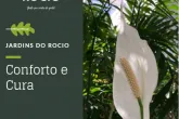 Jardins do Rocio