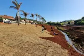 Revitalização
