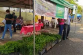 Paraná + Verde