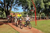 Pedal19
