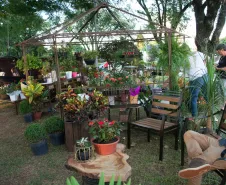 Fotos da Feira Livre Cidade das Flores