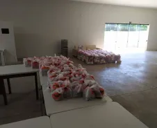 Projeto Semeando Solidariedade - GOB-PR