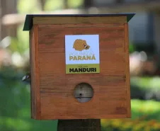 Visão do local de instalação. Foto: SEDEST.