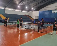 Tênis de Mesa
