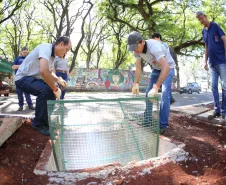 RAIP sendo instalado em canteiro central.