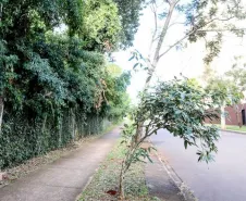 Nova Unidade de Conservação.