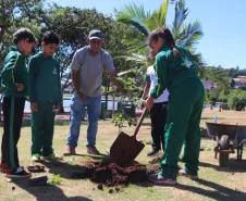 registro das crianças realizando plantio no dia da árvore