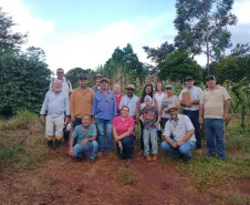 Dia de Campo