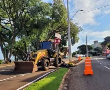 imagem de melhorias nos canteiros