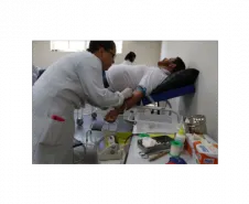 Momento da coleta de sangue realizada por tecnica do hemonúcleo.