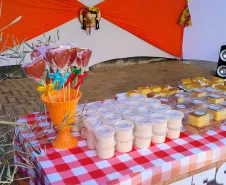 Arraiá da Vacinação