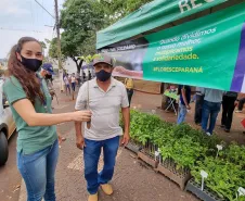 Paraná + Verde