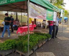 Paraná + Verde