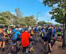 Pedal12