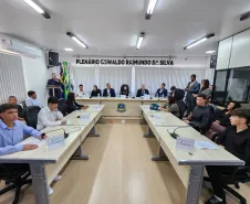 Vereador Mirim