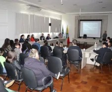 Profissionais reunidos discutindo condutas e fluxos no atendimento a casos de violência infantil.