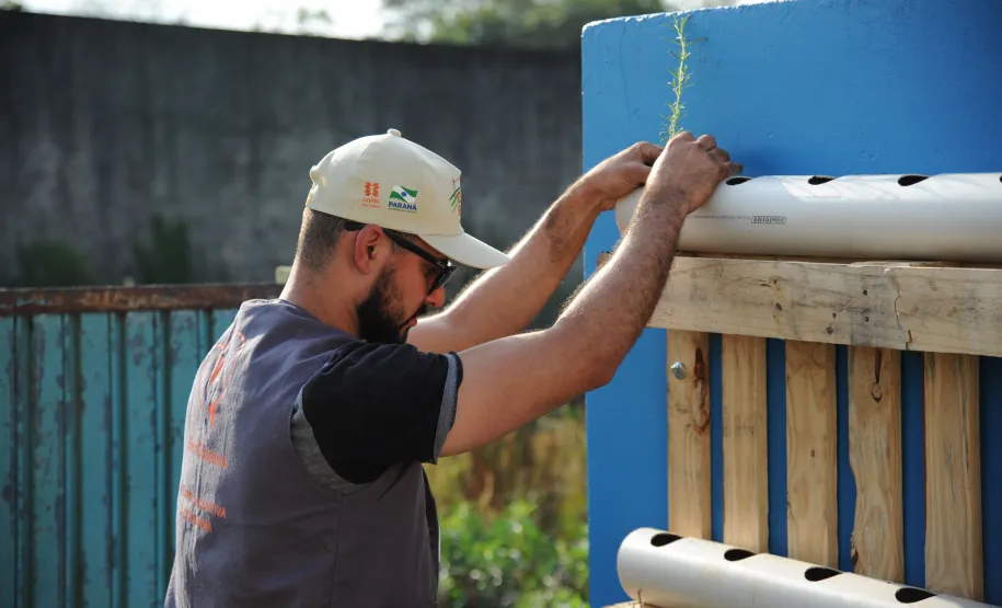 Ação de voluntariado