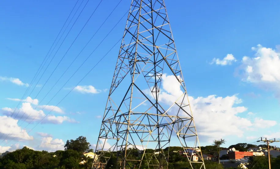 Cultivar Energia