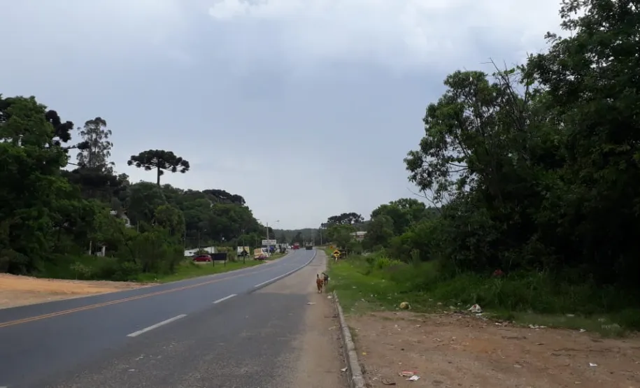 Rodovia de acesso à comunidade