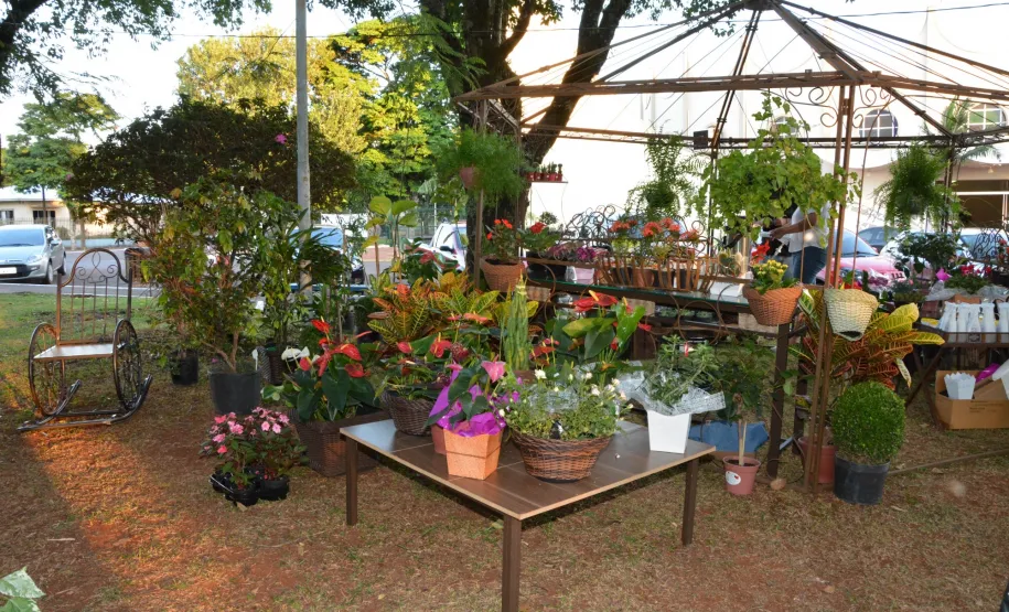 Fotos da Feira Livre Cidade das Flores