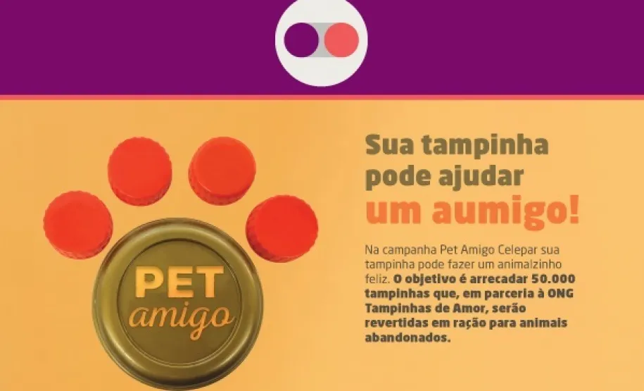 Folder da Campanha