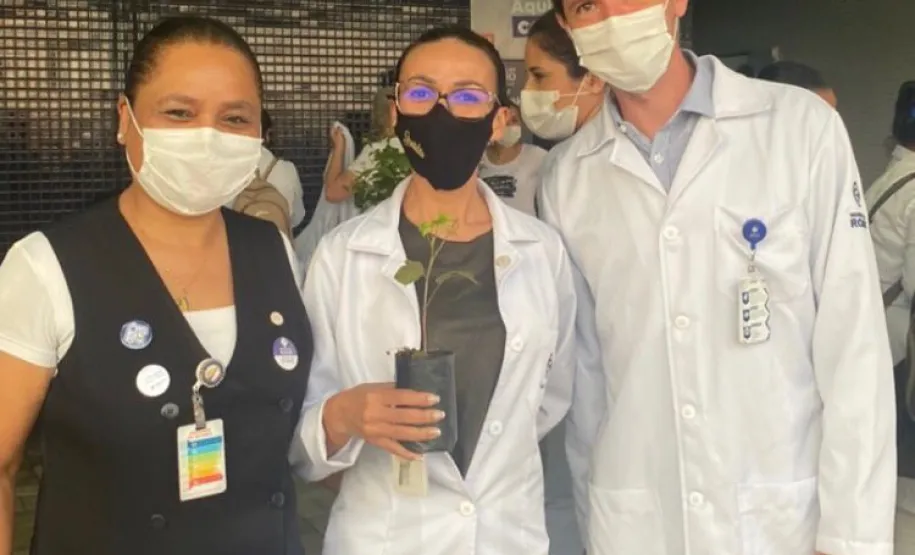 Distribuição das mudas de espécies nativas aos colaboradores