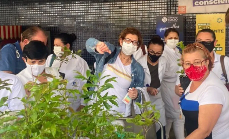 Distribuição das mudas de espécies nativas no Eco Ponto do Hospital do Rocio