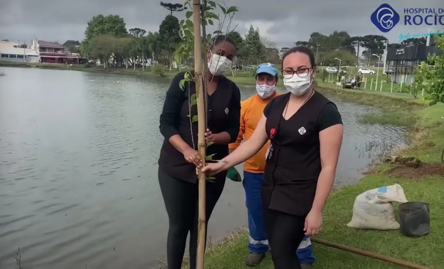 Plantio das mudas no Parque da Lagoa
