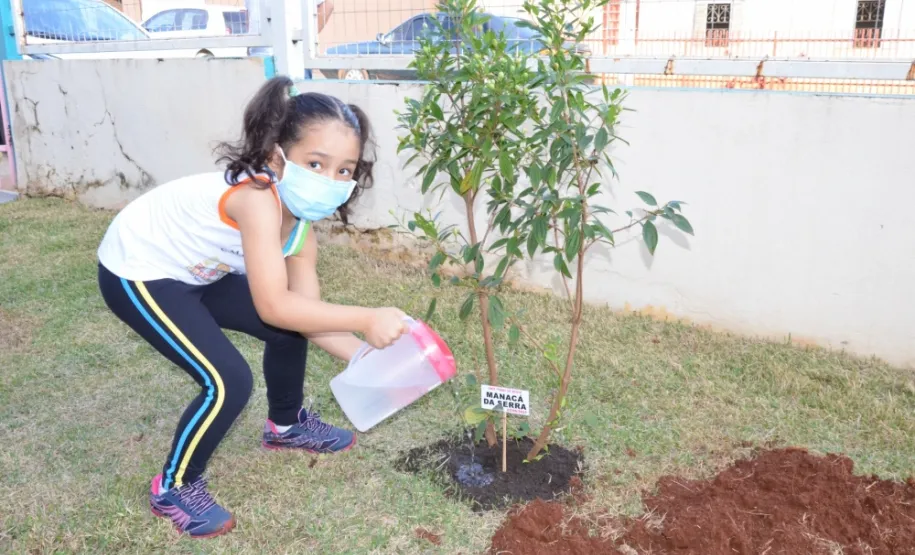Dia do Meio Ambiente