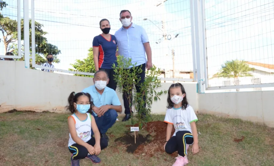 Dia do Meio Ambiente