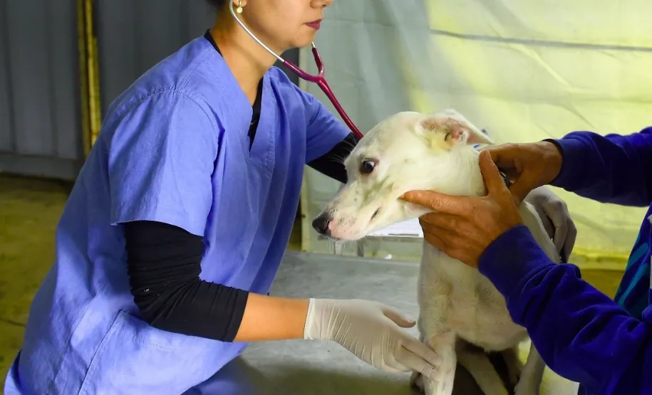 Atendimento - Foto: Divulgação SEDEST