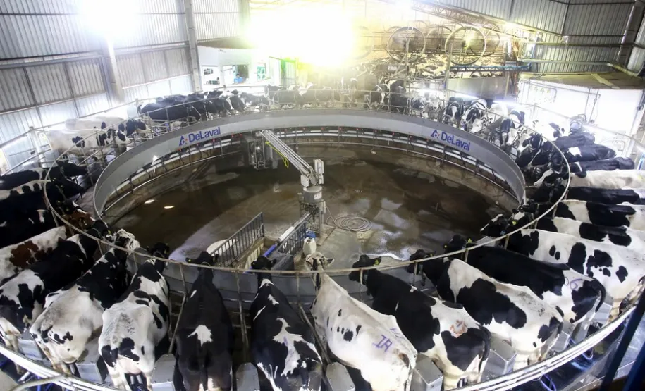 Foto: Jaelson Lucas.