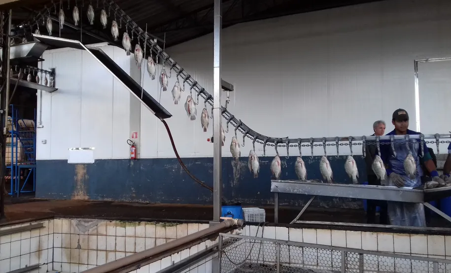 Foto: Divulgação COPAVEL.