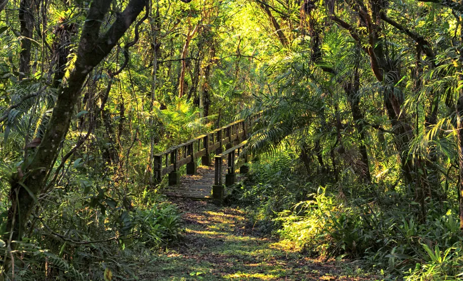 Parque Estadual do Rio da Onça. Foto: Denis Netto.