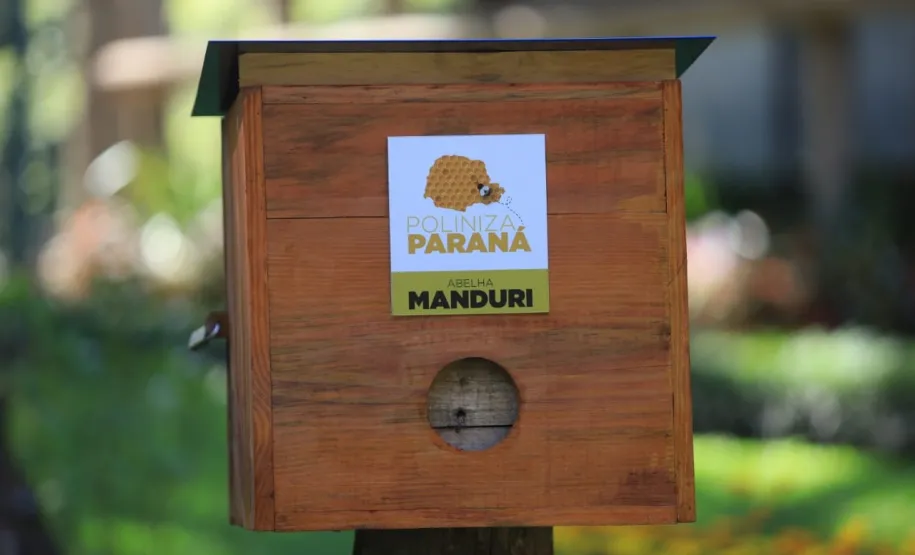 Visão do local de instalação. Foto: SEDEST.