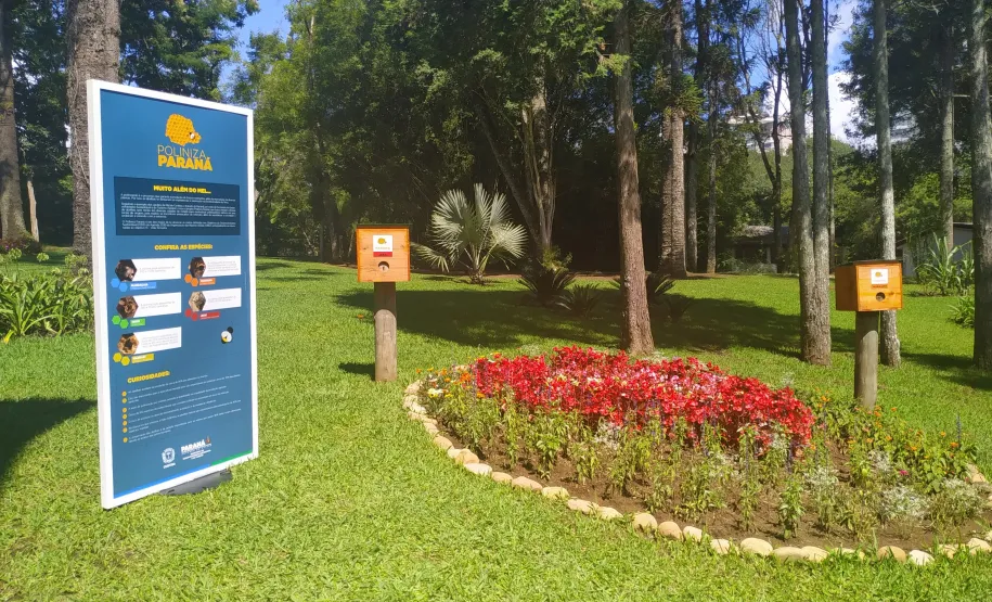 Visão do local de instalação. Foto: SEDEST.