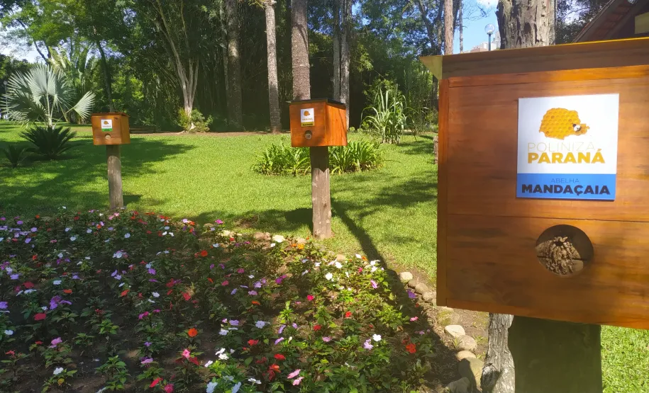 Visão do local de instalação. Foto: SEDEST.