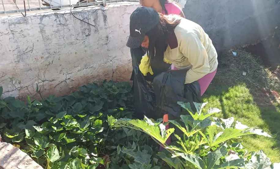 Mutirão de Limpeza - Dengue