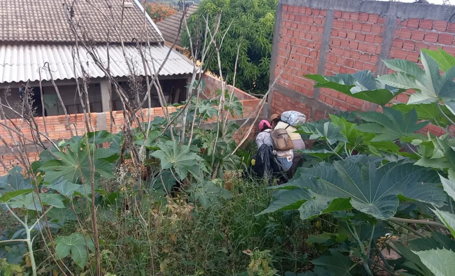 Mutirão de Limpeza - Dengue