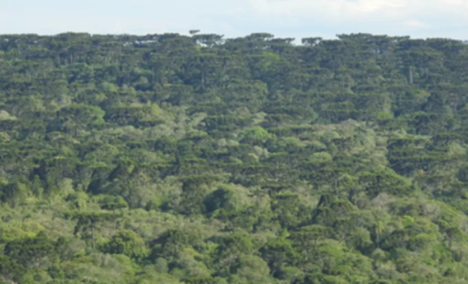 UC RIO BONITO