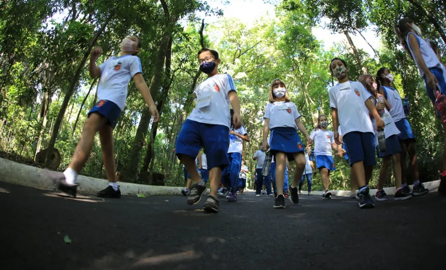 Trilha ecológica no Parque do Ingá.
