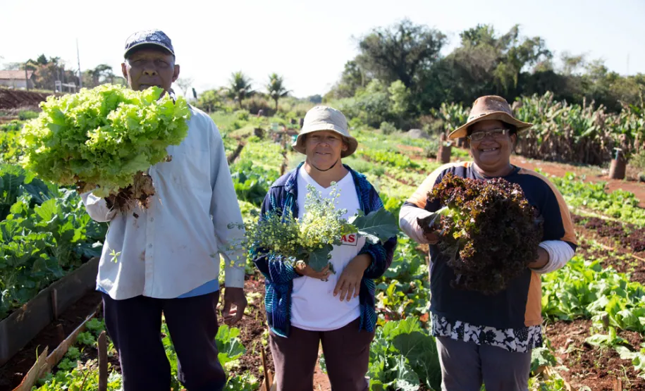 Da esquerda para direita, seo Aldevandro dos Santos, Zilda Moreira e Idalina Marcelino, todos possuem canteiros na horta comunitária do Conjunto Guaiapó – Foto: Cary Bertazzoni/PMM