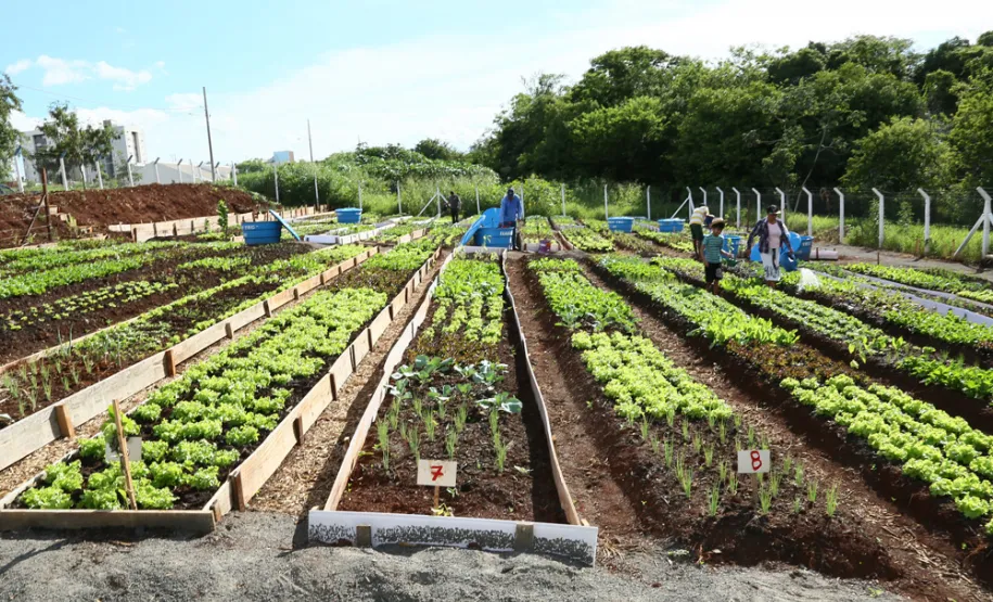 Foto: Roberto Furlan/SECOM