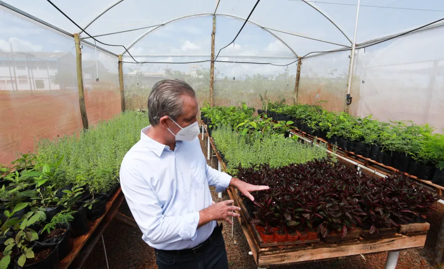 Viveiro de Mudas na CPIM.