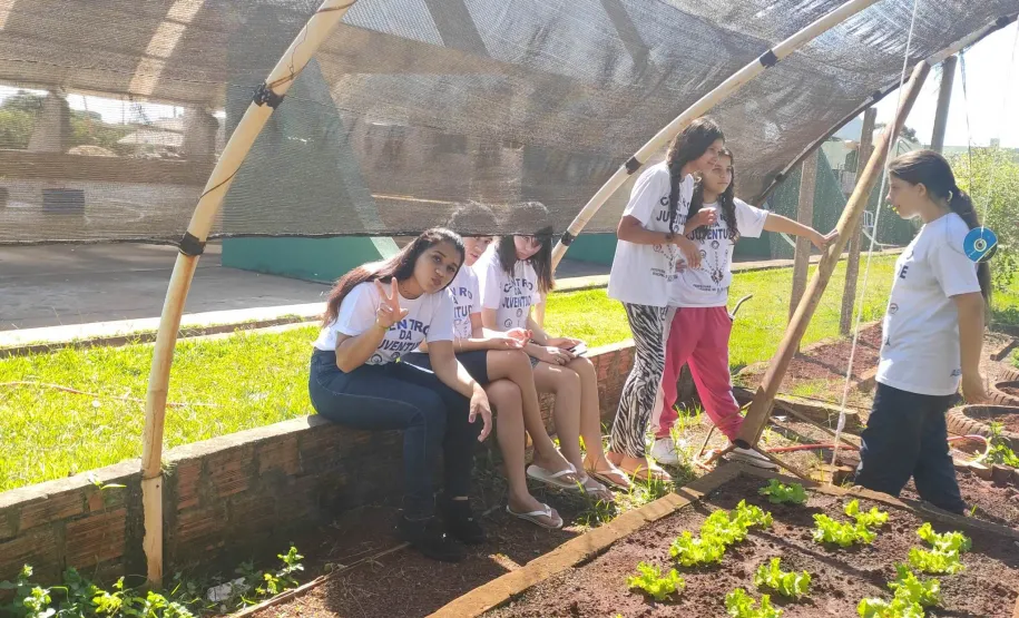 Adolscentes no plantio