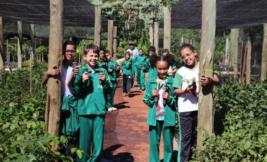 ensinando a preservar