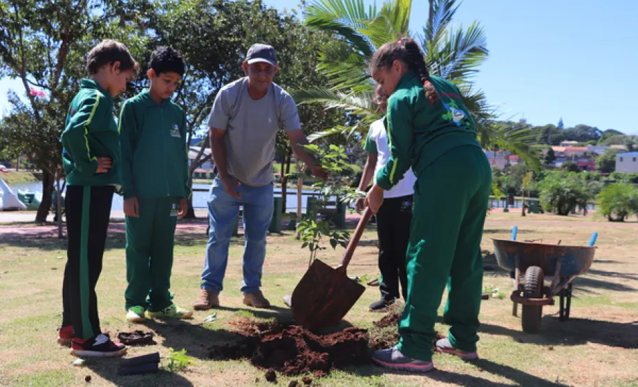 registro das crianças realizando plantio no dia da árvore