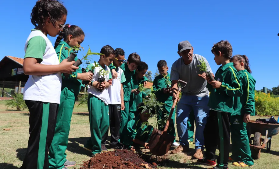 educação e meio ambiente